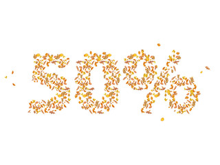 Autumn sale, 50% off discount, retail, online, banner, poster, display, wallpaper, postcard, Different Autumn leaves blowing through the sky, white isolated background
