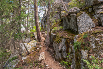 View at Trail in Park in Vancouver, Canada. Mountain and rock background.