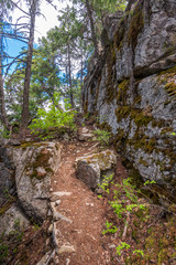 View at Trail in Park in Vancouver, Canada. Mountain and rock background.