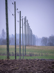 electricity power lines in green autumn meadow field