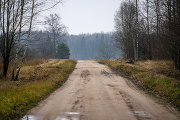 empty gravel countryside road in autumn