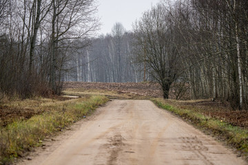 Fototapeta premium empty gravel countryside road in autumn