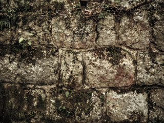 View on an ancient brick wall
