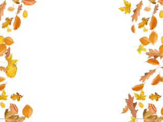 Different Autumn leaves blowing through the sky, autumn concept backgrounds, room for text, copy space, online, sale, retail, poster, display, wallpaper, postcard, screen, white isolated background