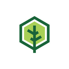 hexagon tree color logo design