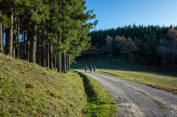 ragazzi che fanno trekking