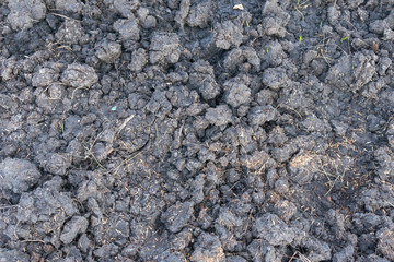 empty ground dirt for growing plant