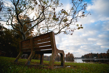 Fototapeta na wymiar bench in the park with a blue sky