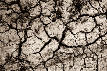 dry cracked earth