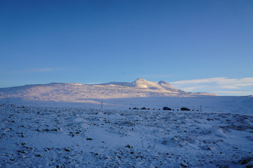 Iceland Vacation