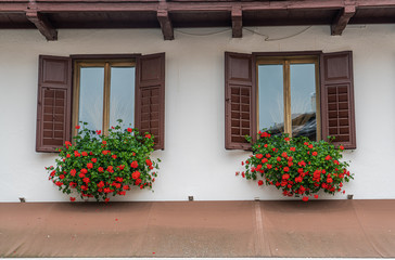 Fototapeta na wymiar European style windows and buidung facade with red flower bed in Cortina d'Ampezzo, Italy.