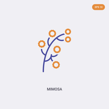 2 color Mimosa concept vector icon. isolated two color Mimosa vector sign symbol designed with blue and orange colors can be use for web, mobile and logo. eps 10.