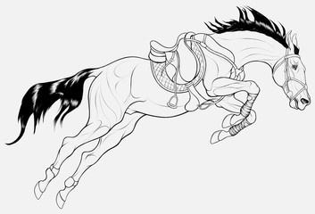 Stallion overcomes an obstacle in a powerful jump. Illustration of a steed equipped for show jumping competition with shabrack and bandages. Linear vector clip art for cross-country equestrianism.