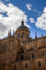 Fototapeta na wymiar Salamanca, Castilla y Léon, Spagna