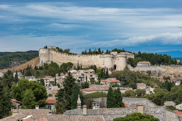 Pont d'avignon, Avignon ville médiévale avec le palais des papes, Vaucluse, France - obrazy, fototapety, plakaty