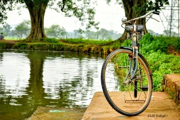 Fototapeta premium bicycle in park