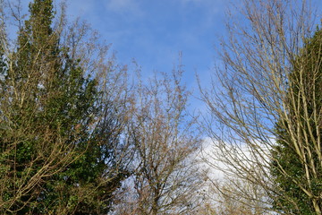 cold winter sky with clouds 
