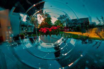 Red flowers in the sundown with glooming water sparkels