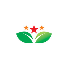 color leaf star logo design