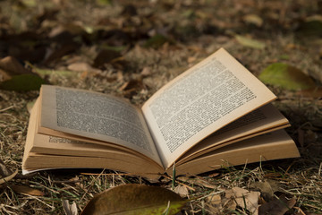 Naklejka na ściany i meble book on the autumn leaves at the outside.