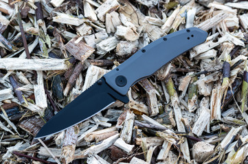 Knife with a black blade and an iron handle.
