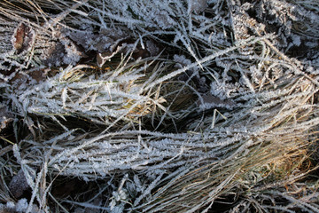 frost on the list © Artur