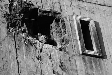 Berlin 1990 Mauerfall