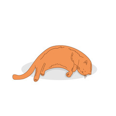 Fat redhead satisfied well fed cat lying on the mat. Domestic ginger pet vector illustration.