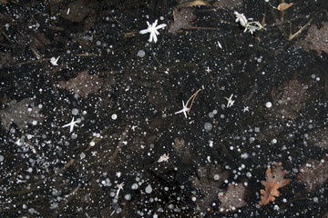frost on the list © Artur
