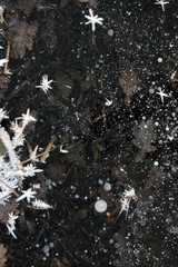 frost on the list © Artur