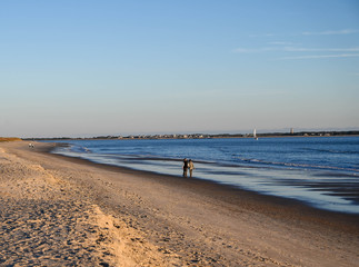Looking down the shore line of the ocean. A couple in the distance is holding hands and walking down the beach.