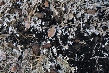 frost on the list © Artur