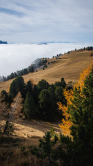 Dolomites, Italy - sunny day cloud inversion over hills with autumn colors on trees