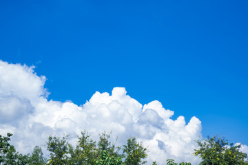 Fototapeta premium blue sky and cloud texture background