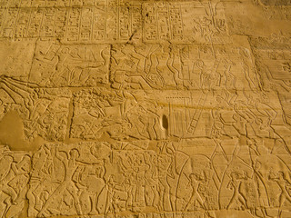 Fototapeta na wymiar Hieroglyphics on wall in the Ramesseum Temple in Luxor, Egypt