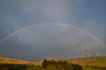 Fototapeta na wymiar rainbow over field