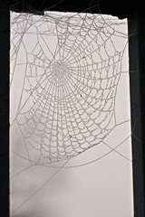 Spinnennetz mit Raureif an Metallzaun
