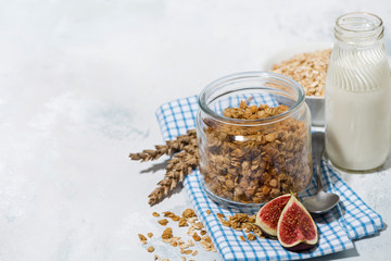 healthy foods - homemade granola and milk on white table