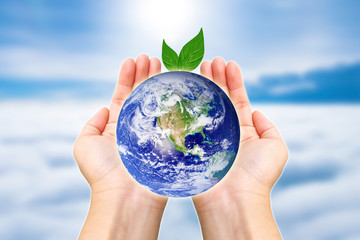 Two hands of woman holding globe with tree and sky Elements of this image furnished by NASA