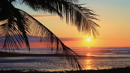 pacific sunset