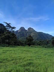 landscape in the mountains