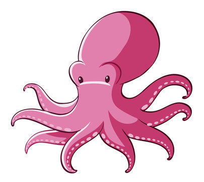 Pink octopus on white background