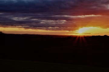 Obraz premium sunset in the forest