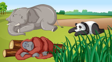 Scene with three animals in the field © GraphicsRF