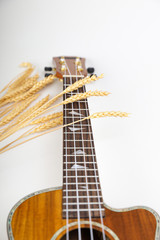 Obraz premium Ukulele on a white background. Hawaiian guitar lies on the table.