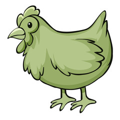 Green chicken on white background