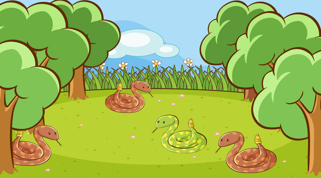 Scene with rattlesnakes in garden