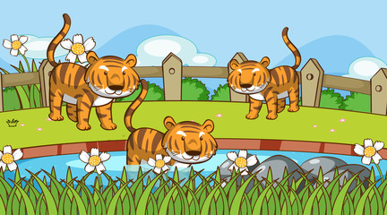 Naklejka premium Scene with tigers in garden