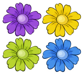 Isolated set of flowers