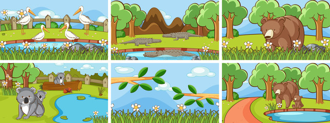 Background scenes of animals in the wild